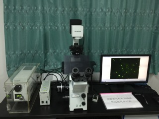 倒置荧光相差显微镜